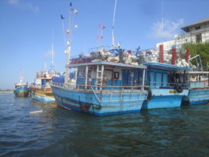Negombo Lagoon Boat Tour