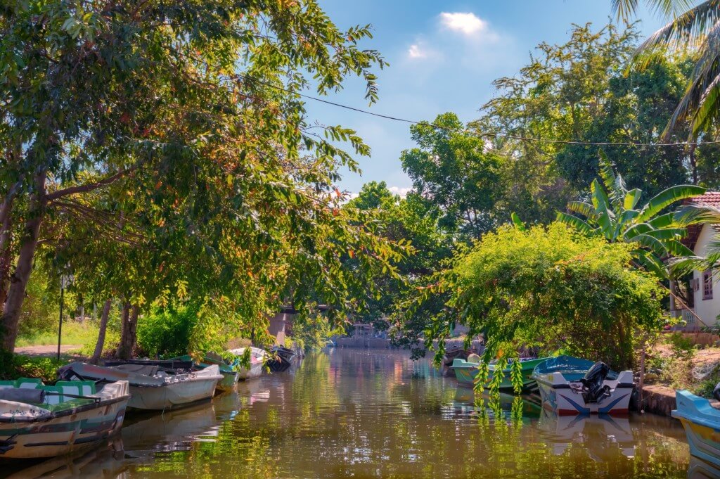 The Hamilton Canal: A Hidden Gem in Negombo